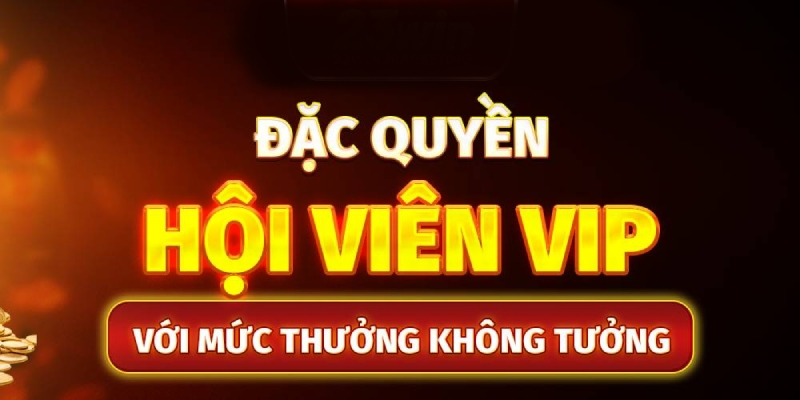 Hội viên cấp VIP được nhận lương định kỳ