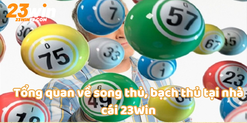 Tổng quan về song thủ, bạch thủ tại nhà cái 23Win